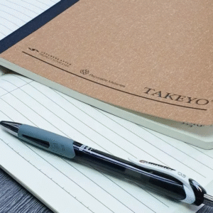 Bút Thiên Long Gel 029